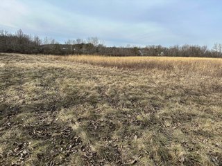 Property photo 48 - LAND AUCTION - 80+/- ACRES OFFERED IN 4 TRACTS IN DEKALB COUNTY, INDIANA