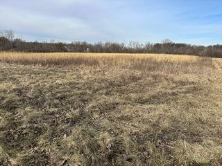 Property photo 49 - LAND AUCTION - 80+/- ACRES OFFERED IN 4 TRACTS IN DEKALB COUNTY, INDIANA