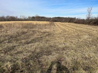 Property photo 50 - LAND AUCTION - 80+/- ACRES OFFERED IN 4 TRACTS IN DEKALB COUNTY, INDIANA