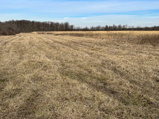 Property photo 51 - LAND AUCTION - 80+/- ACRES OFFERED IN 4 TRACTS IN DEKALB COUNTY, INDIANA