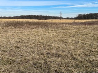 Property photo 52 - LAND AUCTION - 80+/- ACRES OFFERED IN 4 TRACTS IN DEKALB COUNTY, INDIANA