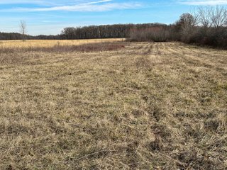 Property photo 53 - LAND AUCTION - 80+/- ACRES OFFERED IN 4 TRACTS IN DEKALB COUNTY, INDIANA