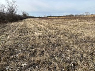 Property photo 54 - LAND AUCTION - 80+/- ACRES OFFERED IN 4 TRACTS IN DEKALB COUNTY, INDIANA