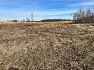 Property photo 55 - LAND AUCTION - 80+/- ACRES OFFERED IN 4 TRACTS IN DEKALB COUNTY, INDIANA