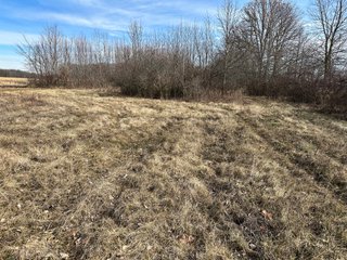 Property photo 56 - LAND AUCTION - 80+/- ACRES OFFERED IN 4 TRACTS IN DEKALB COUNTY, INDIANA