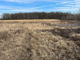 Property photo 57 - LAND AUCTION - 80+/- ACRES OFFERED IN 4 TRACTS IN DEKALB COUNTY, INDIANA