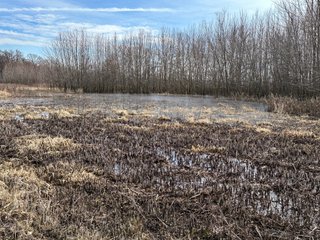 Property photo 58 - LAND AUCTION - 80+/- ACRES OFFERED IN 4 TRACTS IN DEKALB COUNTY, INDIANA