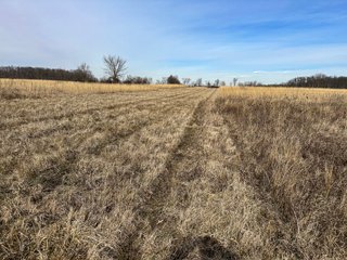 Property photo 59 - LAND AUCTION - 80+/- ACRES OFFERED IN 4 TRACTS IN DEKALB COUNTY, INDIANA
