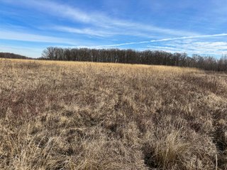 Property photo 60 - LAND AUCTION - 80+/- ACRES OFFERED IN 4 TRACTS IN DEKALB COUNTY, INDIANA