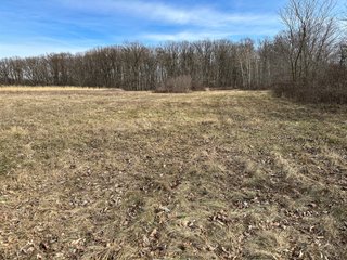 Property photo 61 - LAND AUCTION - 80+/- ACRES OFFERED IN 4 TRACTS IN DEKALB COUNTY, INDIANA