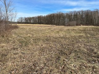 Property photo 62 - LAND AUCTION - 80+/- ACRES OFFERED IN 4 TRACTS IN DEKALB COUNTY, INDIANA