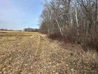 Property photo 63 - LAND AUCTION - 80+/- ACRES OFFERED IN 4 TRACTS IN DEKALB COUNTY, INDIANA