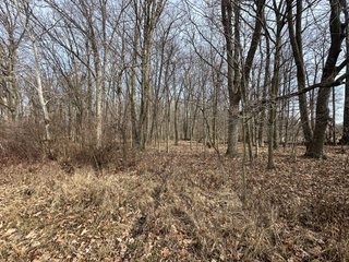 Property photo 64 - LAND AUCTION - 80+/- ACRES OFFERED IN 4 TRACTS IN DEKALB COUNTY, INDIANA