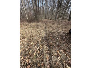 Property photo 65 - LAND AUCTION - 80+/- ACRES OFFERED IN 4 TRACTS IN DEKALB COUNTY, INDIANA