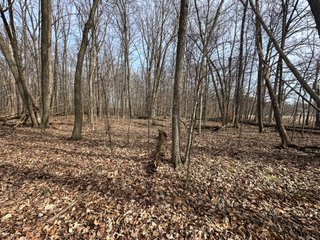 Property photo 66 - LAND AUCTION - 80+/- ACRES OFFERED IN 4 TRACTS IN DEKALB COUNTY, INDIANA