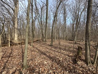 Property photo 67 - LAND AUCTION - 80+/- ACRES OFFERED IN 4 TRACTS IN DEKALB COUNTY, INDIANA
