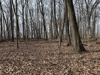 Property photo 70 - LAND AUCTION - 80+/- ACRES OFFERED IN 4 TRACTS IN DEKALB COUNTY, INDIANA