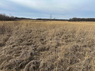 Property photo 73 - LAND AUCTION - 80+/- ACRES OFFERED IN 4 TRACTS IN DEKALB COUNTY, INDIANA