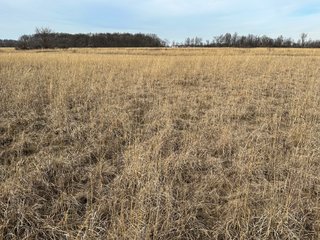 Property photo 74 - LAND AUCTION - 80+/- ACRES OFFERED IN 4 TRACTS IN DEKALB COUNTY, INDIANA
