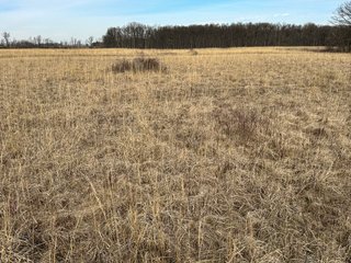 Property photo 75 - LAND AUCTION - 80+/- ACRES OFFERED IN 4 TRACTS IN DEKALB COUNTY, INDIANA
