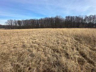 Property photo 76 - LAND AUCTION - 80+/- ACRES OFFERED IN 4 TRACTS IN DEKALB COUNTY, INDIANA