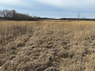 Property photo 77 - LAND AUCTION - 80+/- ACRES OFFERED IN 4 TRACTS IN DEKALB COUNTY, INDIANA