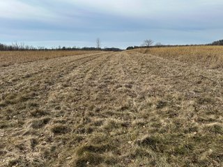 Property photo 78 - LAND AUCTION - 80+/- ACRES OFFERED IN 4 TRACTS IN DEKALB COUNTY, INDIANA