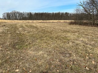 Property photo 79 - LAND AUCTION - 80+/- ACRES OFFERED IN 4 TRACTS IN DEKALB COUNTY, INDIANA