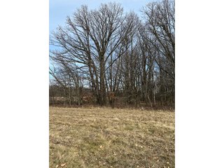 Property photo 80 - LAND AUCTION - 80+/- ACRES OFFERED IN 4 TRACTS IN DEKALB COUNTY, INDIANA