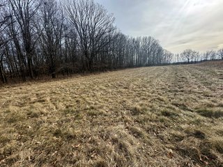 Property photo 81 - LAND AUCTION - 80+/- ACRES OFFERED IN 4 TRACTS IN DEKALB COUNTY, INDIANA