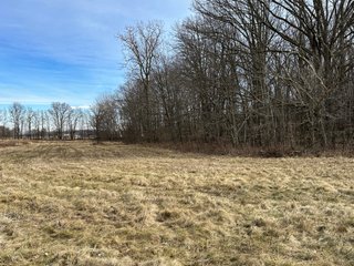 Property photo 83 - LAND AUCTION - 80+/- ACRES OFFERED IN 4 TRACTS IN DEKALB COUNTY, INDIANA