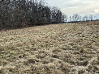 Property photo 84 - LAND AUCTION - 80+/- ACRES OFFERED IN 4 TRACTS IN DEKALB COUNTY, INDIANA