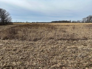 Property photo 85 - LAND AUCTION - 80+/- ACRES OFFERED IN 4 TRACTS IN DEKALB COUNTY, INDIANA