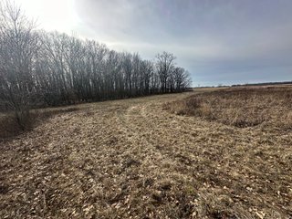 Property photo 86 - LAND AUCTION - 80+/- ACRES OFFERED IN 4 TRACTS IN DEKALB COUNTY, INDIANA