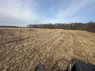 Property photo 87 - LAND AUCTION - 80+/- ACRES OFFERED IN 4 TRACTS IN DEKALB COUNTY, INDIANA