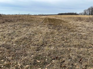 Property photo 88 - LAND AUCTION - 80+/- ACRES OFFERED IN 4 TRACTS IN DEKALB COUNTY, INDIANA