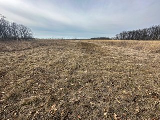 Property photo 89 - LAND AUCTION - 80+/- ACRES OFFERED IN 4 TRACTS IN DEKALB COUNTY, INDIANA