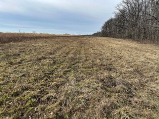 Property photo 90 - LAND AUCTION - 80+/- ACRES OFFERED IN 4 TRACTS IN DEKALB COUNTY, INDIANA