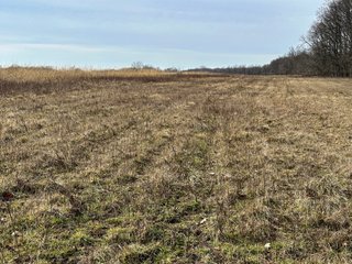 Property photo 91 - LAND AUCTION - 80+/- ACRES OFFERED IN 4 TRACTS IN DEKALB COUNTY, INDIANA