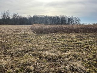 Property photo 92 - LAND AUCTION - 80+/- ACRES OFFERED IN 4 TRACTS IN DEKALB COUNTY, INDIANA