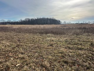 Property photo 93 - LAND AUCTION - 80+/- ACRES OFFERED IN 4 TRACTS IN DEKALB COUNTY, INDIANA