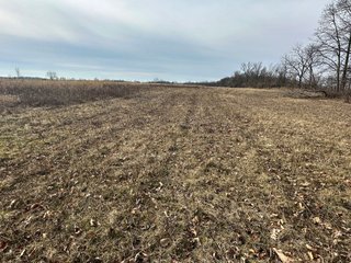 Property photo 94 - LAND AUCTION - 80+/- ACRES OFFERED IN 4 TRACTS IN DEKALB COUNTY, INDIANA