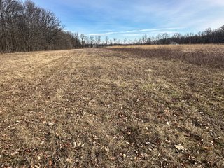 Property photo 95 - LAND AUCTION - 80+/- ACRES OFFERED IN 4 TRACTS IN DEKALB COUNTY, INDIANA