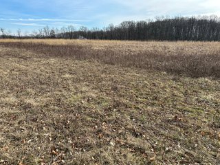 Property photo 96 - LAND AUCTION - 80+/- ACRES OFFERED IN 4 TRACTS IN DEKALB COUNTY, INDIANA