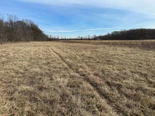 Property photo 97 - LAND AUCTION - 80+/- ACRES OFFERED IN 4 TRACTS IN DEKALB COUNTY, INDIANA