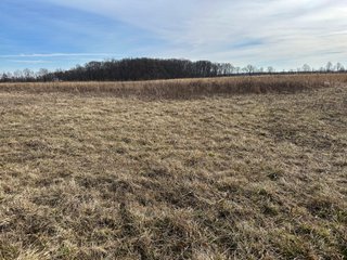 Property photo 98 - LAND AUCTION - 80+/- ACRES OFFERED IN 4 TRACTS IN DEKALB COUNTY, INDIANA