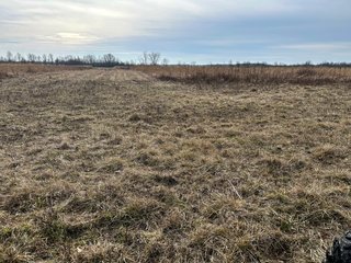 Property photo 99 - LAND AUCTION - 80+/- ACRES OFFERED IN 4 TRACTS IN DEKALB COUNTY, INDIANA