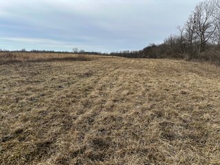 Property photo 100 - LAND AUCTION - 80+/- ACRES OFFERED IN 4 TRACTS IN DEKALB COUNTY, INDIANA