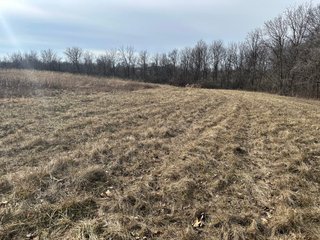 Property photo 101 - LAND AUCTION - 80+/- ACRES OFFERED IN 4 TRACTS IN DEKALB COUNTY, INDIANA