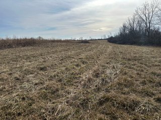 Property photo 102 - LAND AUCTION - 80+/- ACRES OFFERED IN 4 TRACTS IN DEKALB COUNTY, INDIANA